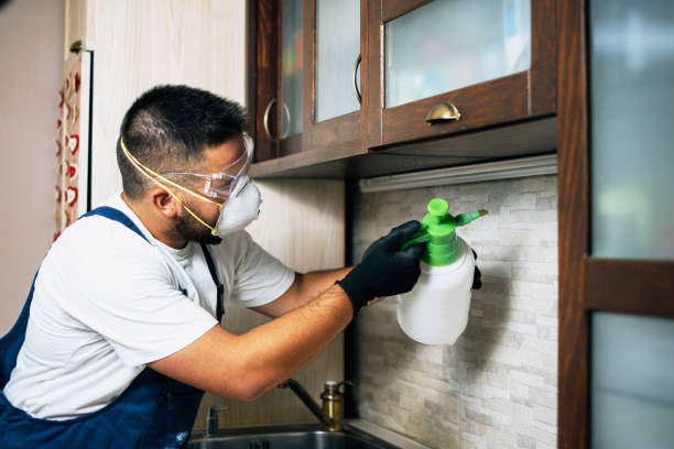 Trusted Blue Jay, OH Pest Control Experts