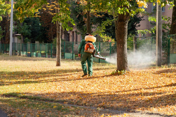 Best Affordable Pest Control Services  in Blue Jay, OH